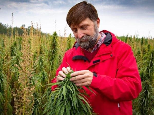Jan Slaski is a longtime hemp breeder at InnoTech Alberta